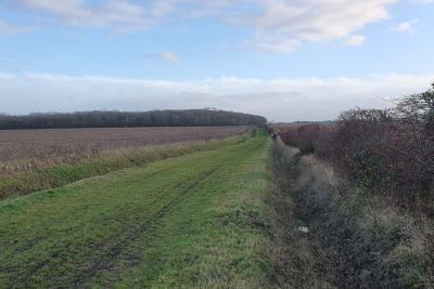 Bullock Road - Drovers